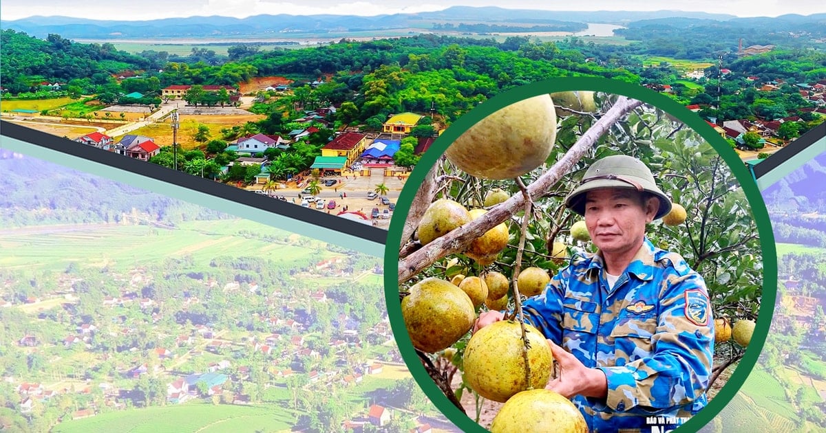 Người lính già và hành trình phủ xanh trên vùng đất khó