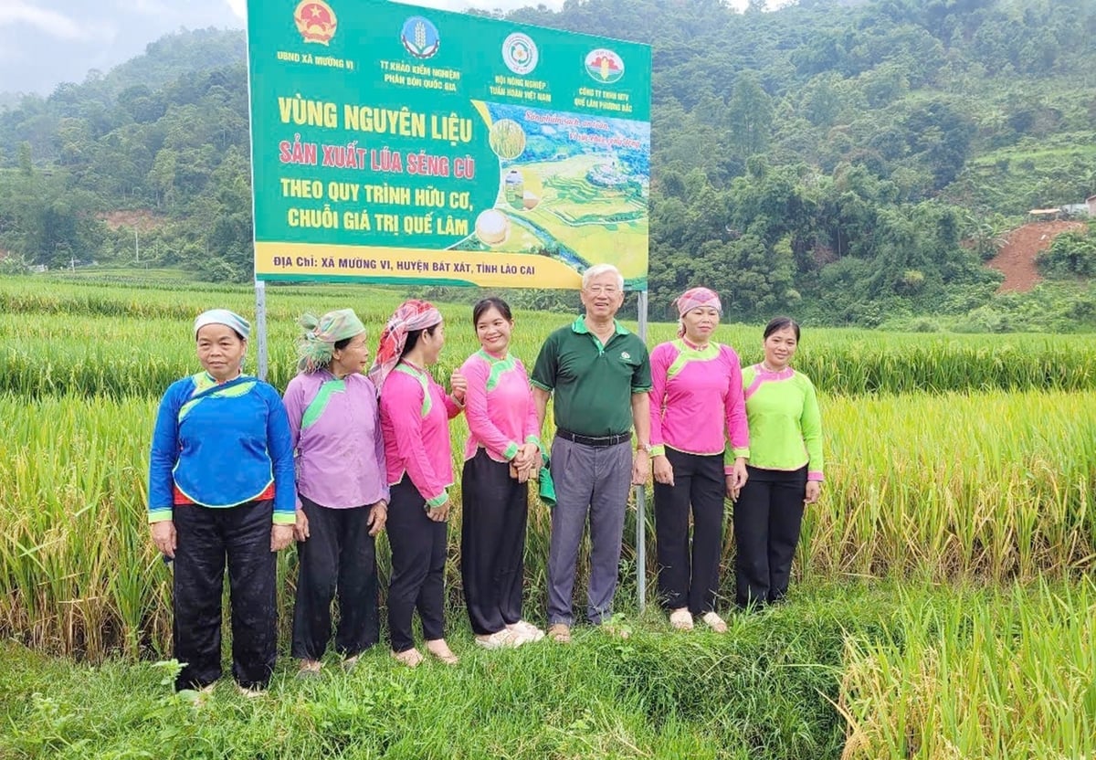 Bản Xèo thành 'điểm sáng' hữu cơ hóa đồng ruộng vùng cao tại Lào Cai. Ảnh: Bích Hợp.