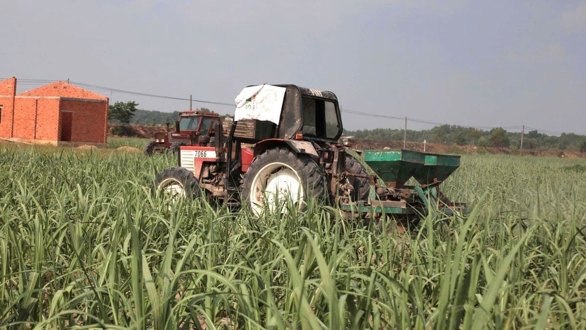 Nông dân chủ động ứng dụng tiến bộ khoa học kỹ thuật mới vào sản xuất. Ảnh: Trần Trung.