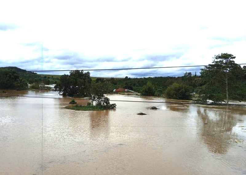 Nhiều diện tích cây trồng của người dân ở khu vực hạ du bị ngập gây thiệt hại lớn. Ảnh: Người dân cung cấp.