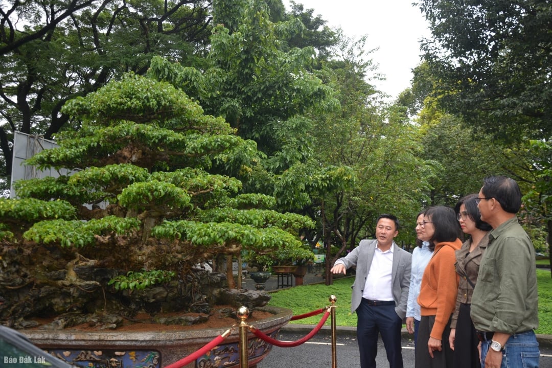 Khán giả thưởng lãm tác phẩm Cửu long hoàng hội được trưng bày tại triển lãm.