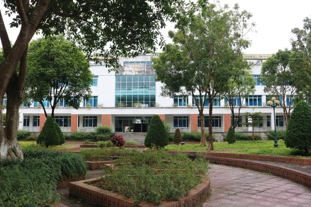 Rumah Sakit Umum Provinsi Lai Chau mempromosikan pembangunan model Fasilitas Medis Hijau - Bersih - Indah - Foto 2. Bệnh viện Đa khoa tỉnh Lai Châu đẩy mạnh xây dựng mô hình Cơ sở y tế Xanh – Sạch – Đẹp- Ảnh 2.