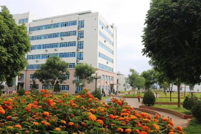 Rumah Sakit Umum Provinsi Lai Chau mempromosikan pembangunan model Fasilitas Medis Hijau - Bersih - Indah - Foto 3. Bệnh viện Đa khoa tỉnh Lai Châu đẩy mạnh xây dựng mô hình Cơ sở y tế Xanh – Sạch – Đẹp- Ảnh 3.