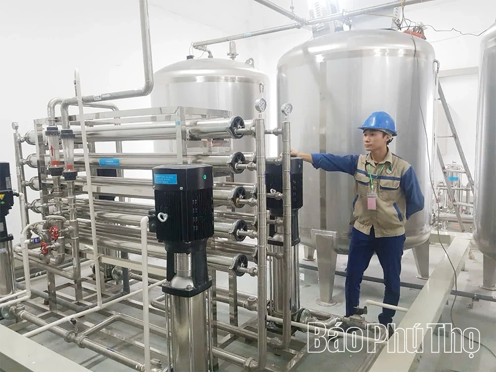 सीएमएक्स वियतनाम - हरित जीवन के लिए