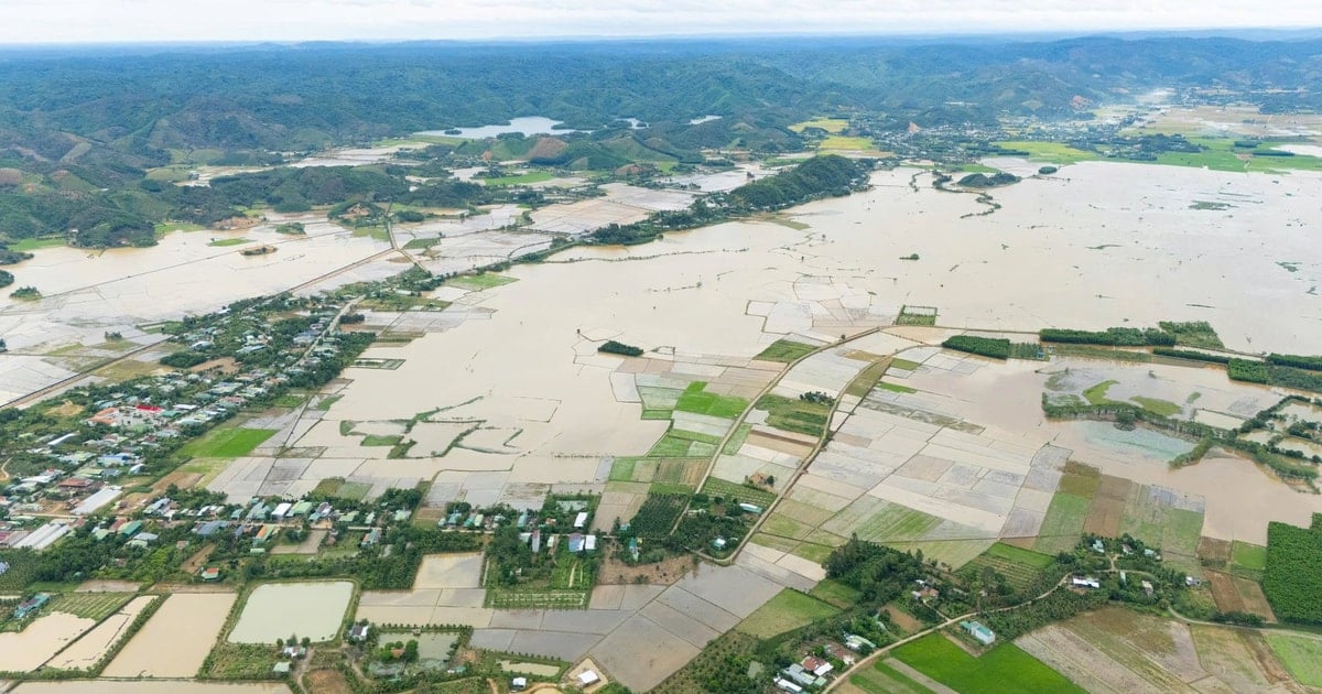 Xã Cát Tiên khẩn trương ứng phó mưa lớn, nước sông Đồng Nai dâng cao