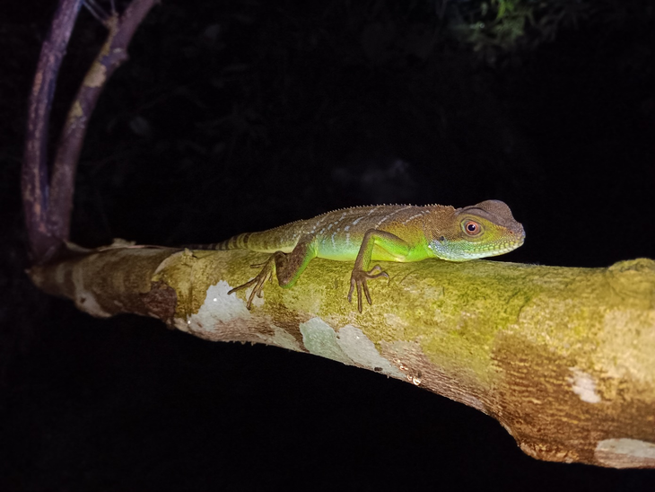 Pù Luông - Ảnh 4.