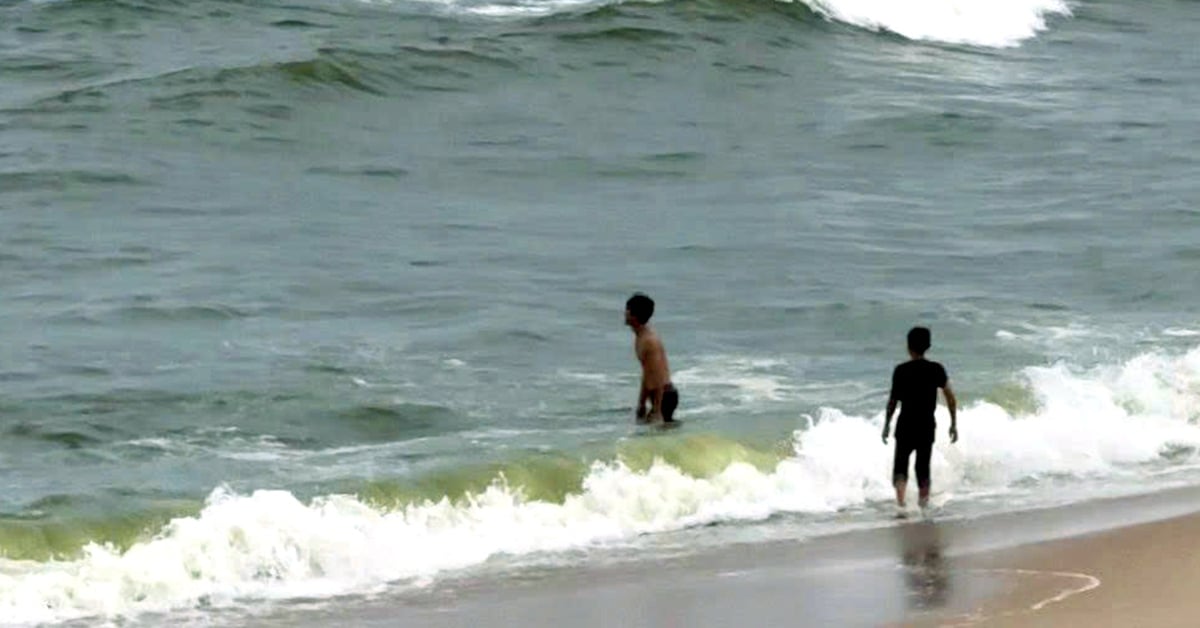 Nước biển ở Vũng Tàu có màu xanh lá khác lạ do vi tảo