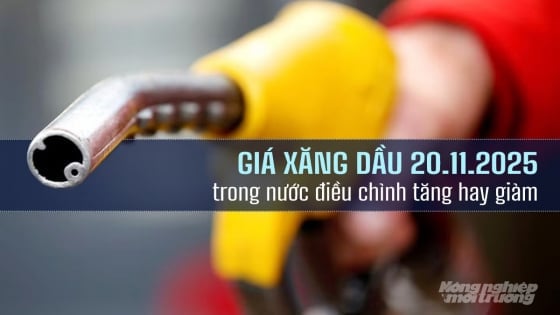 Giá xăng dầu trong nước ngày 20/11/2025 điều chỉnh nhẹ