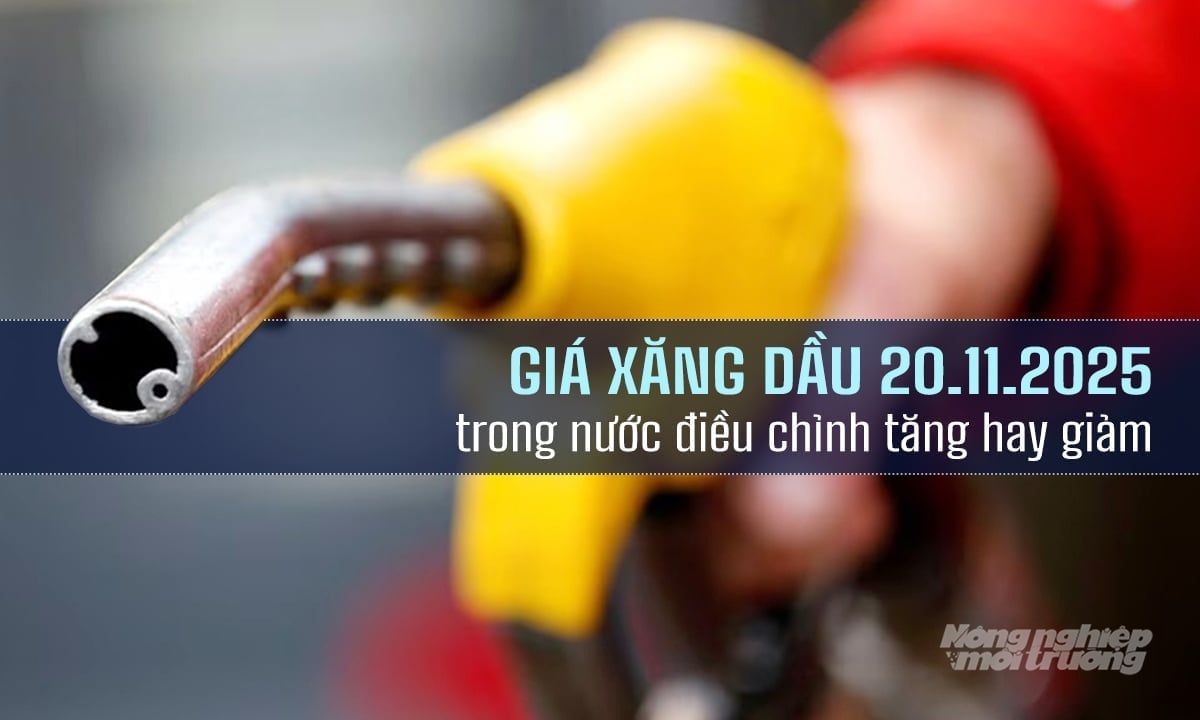 Kemas kini harga petrol hari ini, 20 November 2025 selepas sesi pelarasan Cập nhật giá xăng dầu hôm nay 20/11/2025 sau phiên điều chỉnh