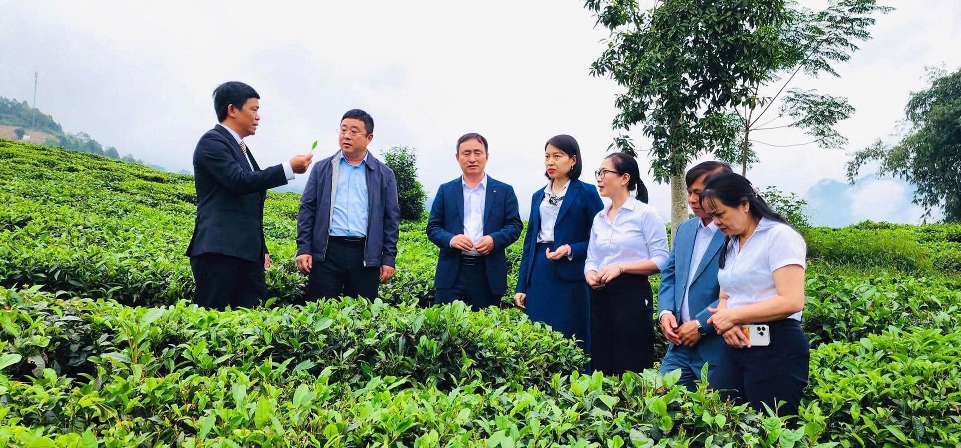 Đoàn công tác của huyện Hà Khẩu thăm vùng nguyên liệu chè tại thôn Phẳng Tao, xã Bản Lầu (Lào Cai). Ảnh: Lưu Hòa.