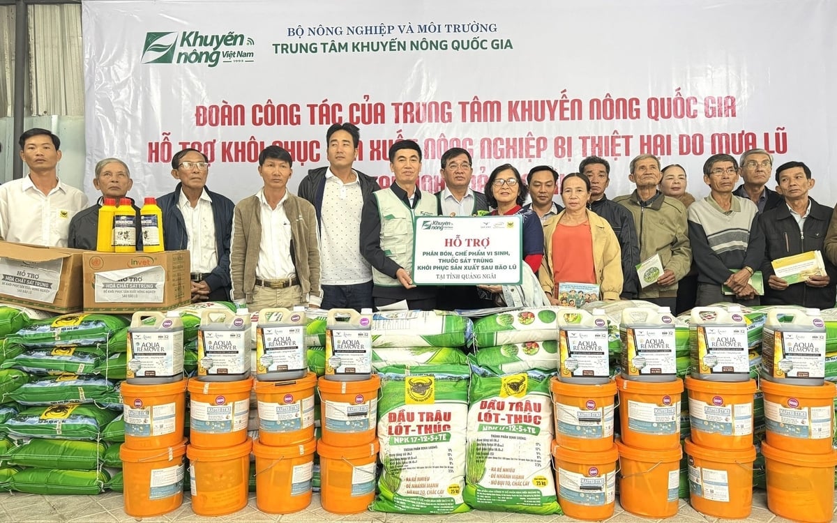 Trung tâm Khuyến nông Quốc gia phối hợp với các doanh nghiệp trao phân bón, hóa chất xử lý môi môi trường cho các hộ dân ở Quảng Ngãi bị ảnh hưởng do thiên tai. Ảnh: L.K.