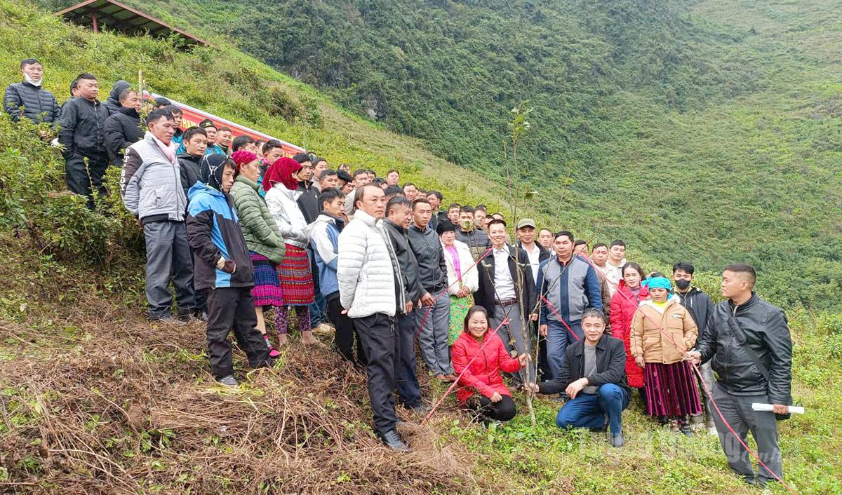 Delegatene besøkte modellen for pæreplanting i landsbyen Ma Pi Leng i Meo Vac kommune.