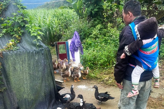 Lai Chau - Outtröttliga steg...- Foto 16. Lai Châu - Những bước chân không mỏi...- Ảnh 16.