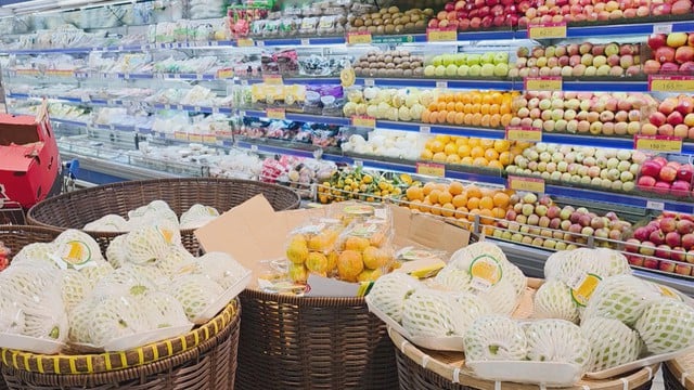 Vươn khơi - Ngày 20/11/2025 | TP. Hồ Chí Minh: “Cửa ngõ” kết nối quốc tế qua trung tâm tài chính mới- Ảnh 1.