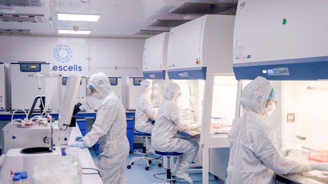 Mescells បានប្រារព្ធពិធីអបអរសាទរខួបលើកទី 70 នៃនាយកដ្ឋានវិទ្យាសាស្ត្រ បច្ចេកវិទ្យា និងបណ្តុះបណ្តាល - ក្រសួងសុខាភិបាល - រូបថត 3. Mescells ghi dấu ấn tại Lễ kỷ niệm 70 năm thành lập Cục Khoa học Công nghệ và Đào tạo – Bộ Y tế- Ảnh 3.