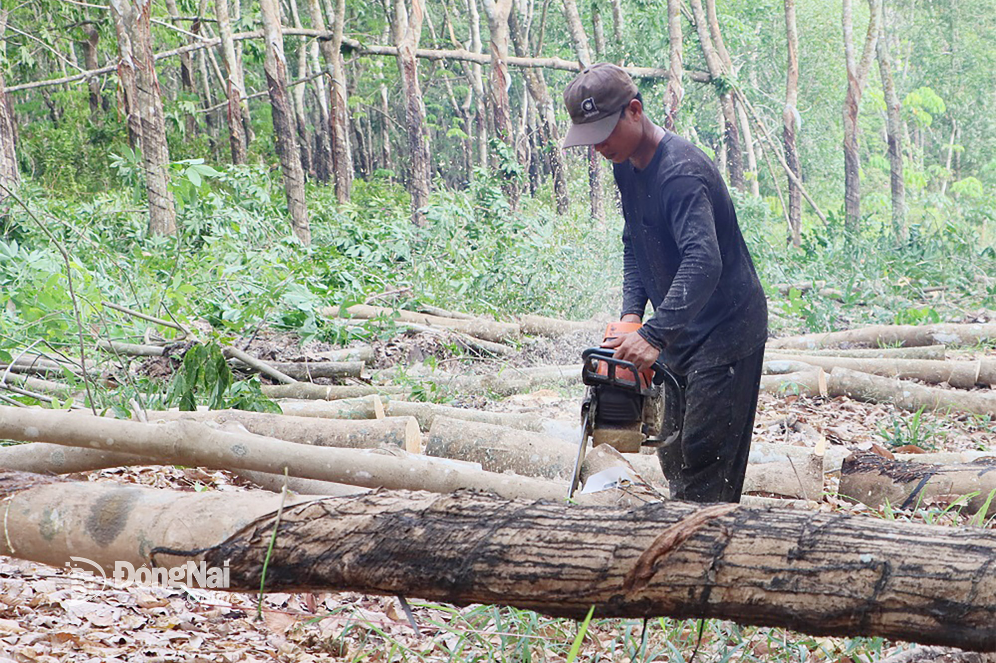 Hơn 314 tỷ đồng bồi thường, hỗ trợ thực hiện cao tốc Thành phố Hồ Chí Minh - Thủ Dầu Một - Chơn Thành