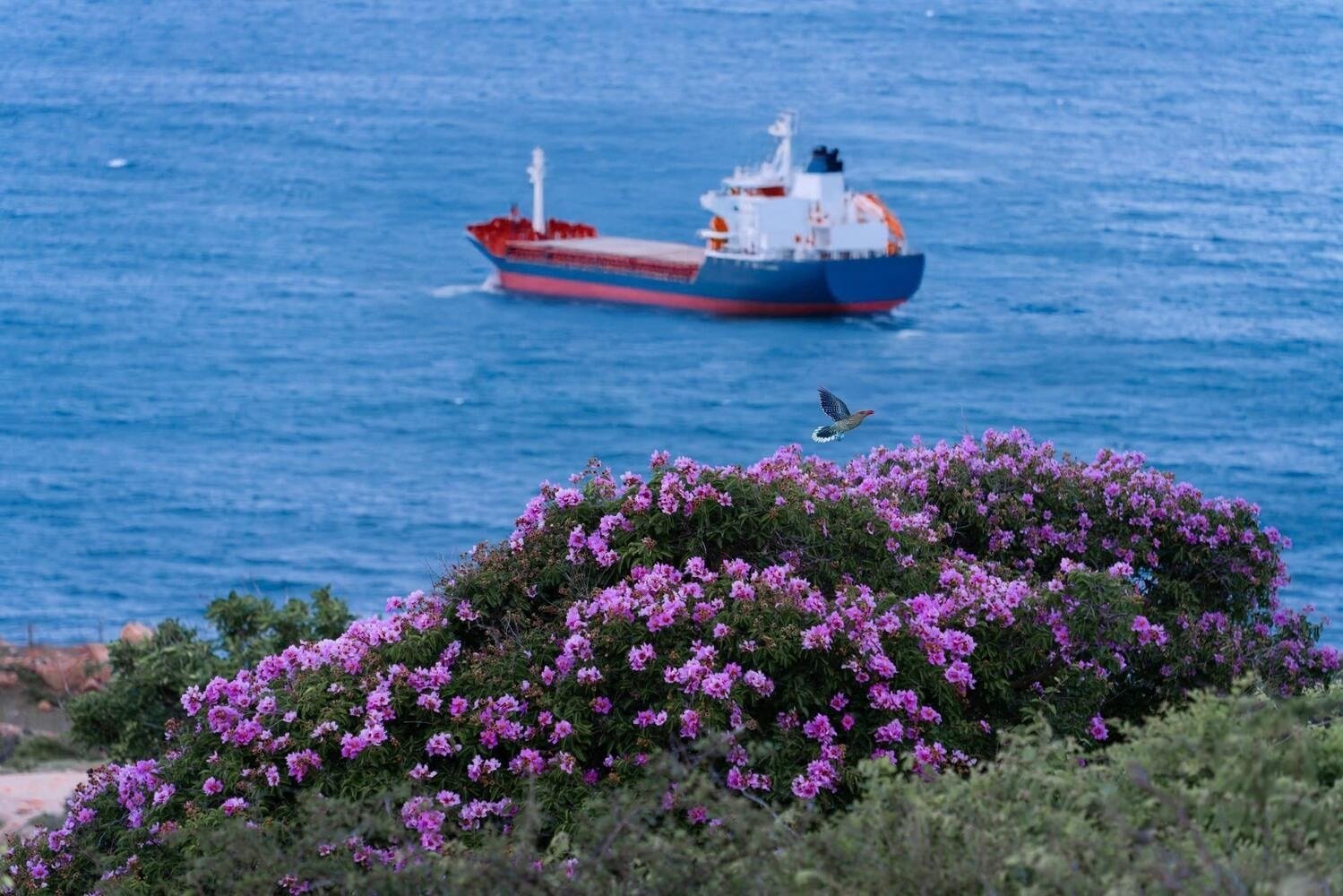 masa untuk melancong ke Mui Dinh