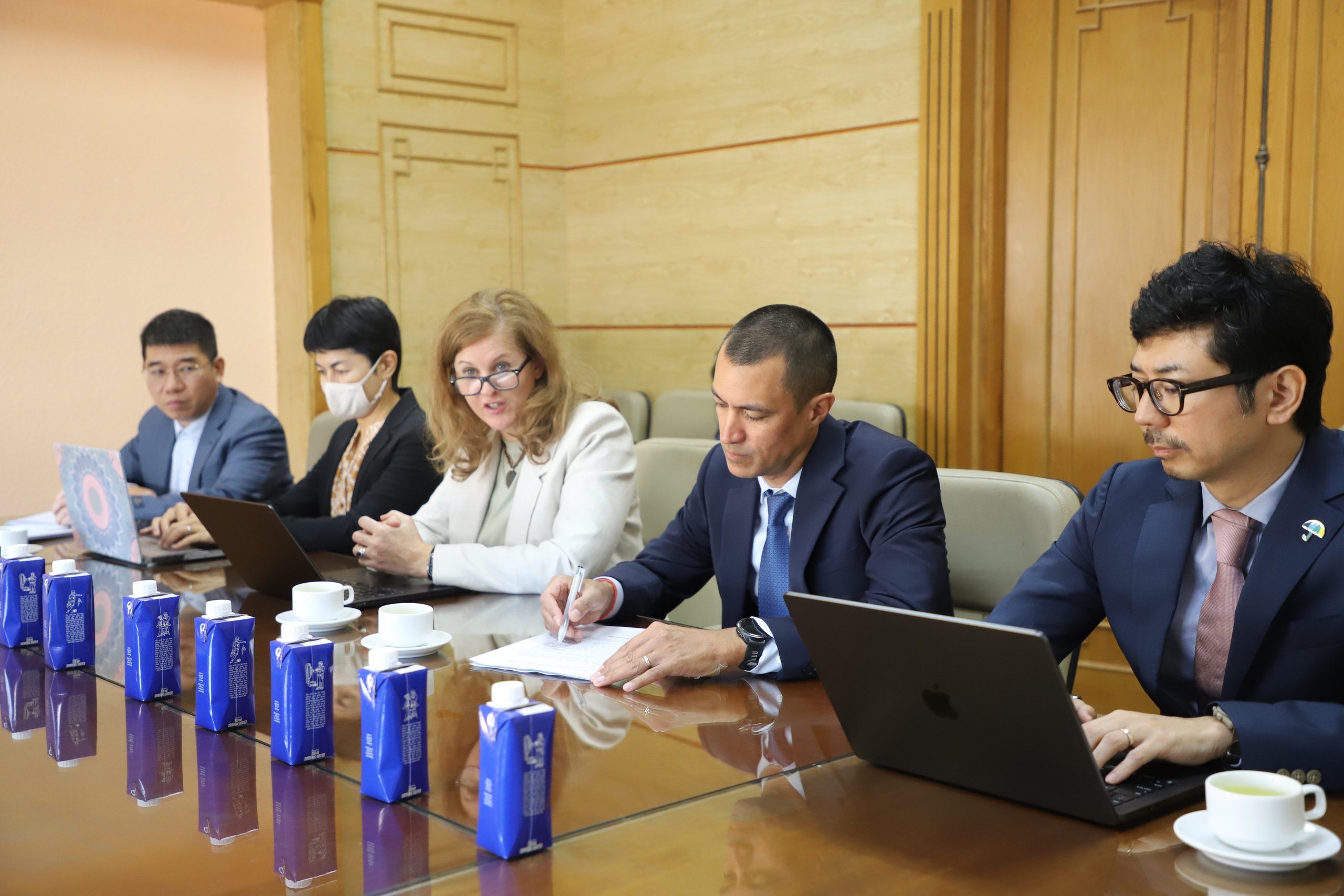 Thứ trưởng Bộ Y tế Lê Đức Luận tiếp đoàn Ngân hàng Phát triển Châu Á- Ảnh 2.