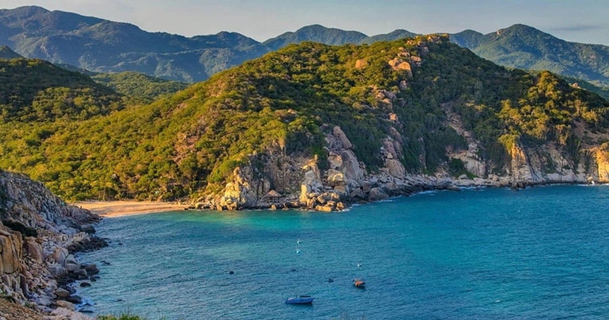 Vườn quốc gia Núi Chúa: Khám phá hệ sinh thái khô hạn độc đáo