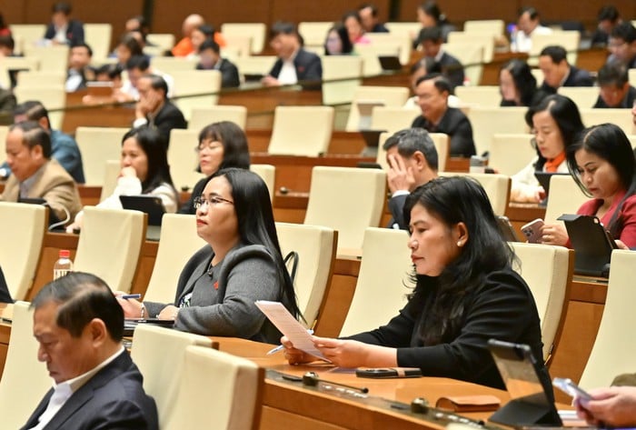 Xem xét kỹ mô hình đại học vùng, tái cấu trúc hiệu quả các trường đại học thành viên- Ảnh 1.