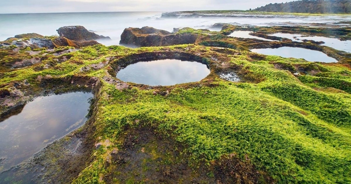 Hòn Đỏ Ninh Thuận: Khám phá rạn san hô hóa thạch trên cạn
