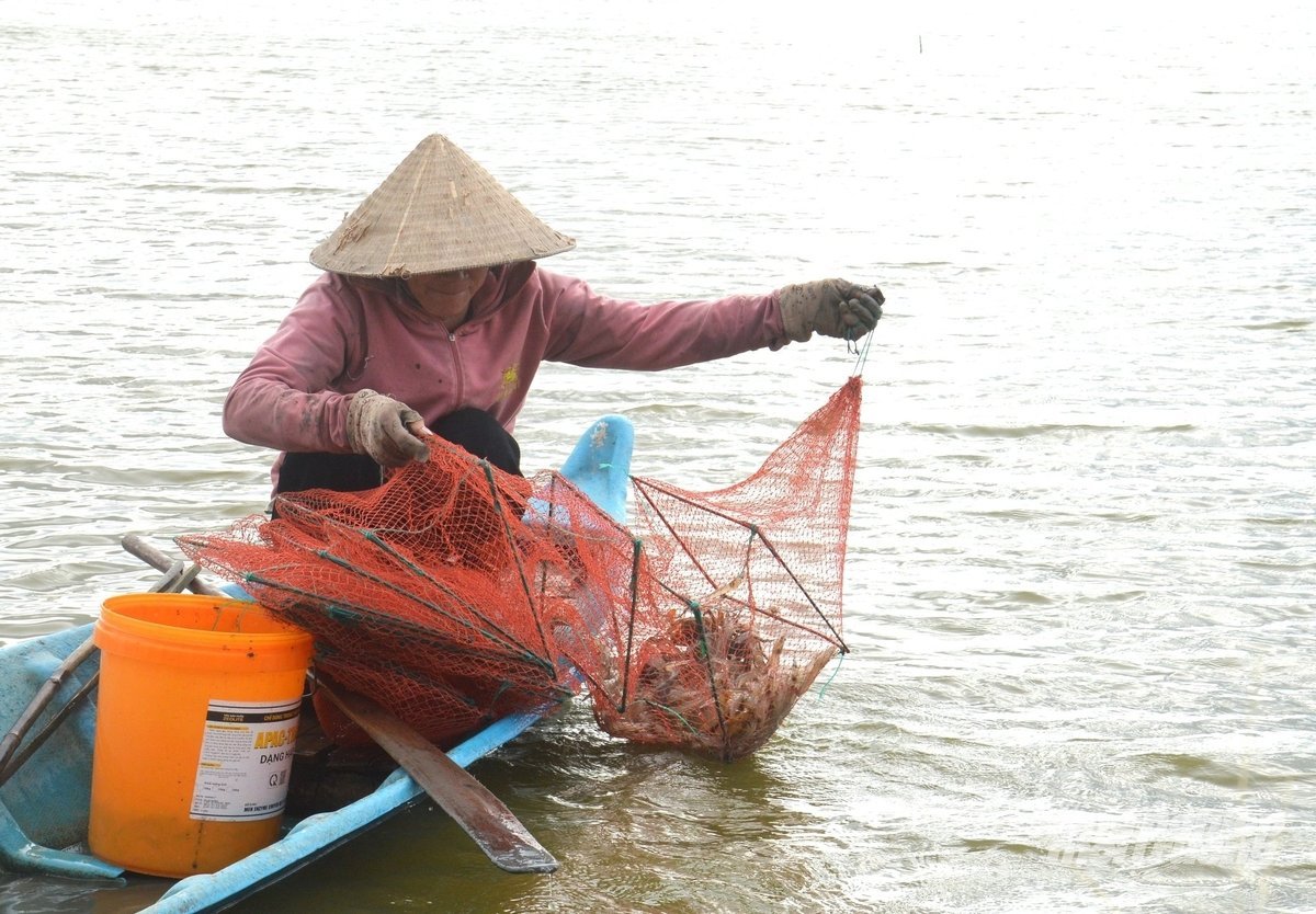 O projeto de irrigação Cai Lon - Cai Be desempenha um papel importante na regulação dos recursos hídricos. Foto: Trung Chanh. Công trình thủy lợi Cái Lớn - Cái Bé đóng vai trò quan trọng trong điều tiết nguồn nước. Ảnh: Trung Chánh.