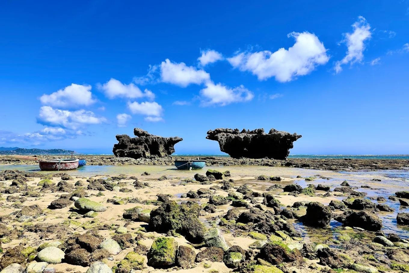 Coral Hon Do Ninh Thuan