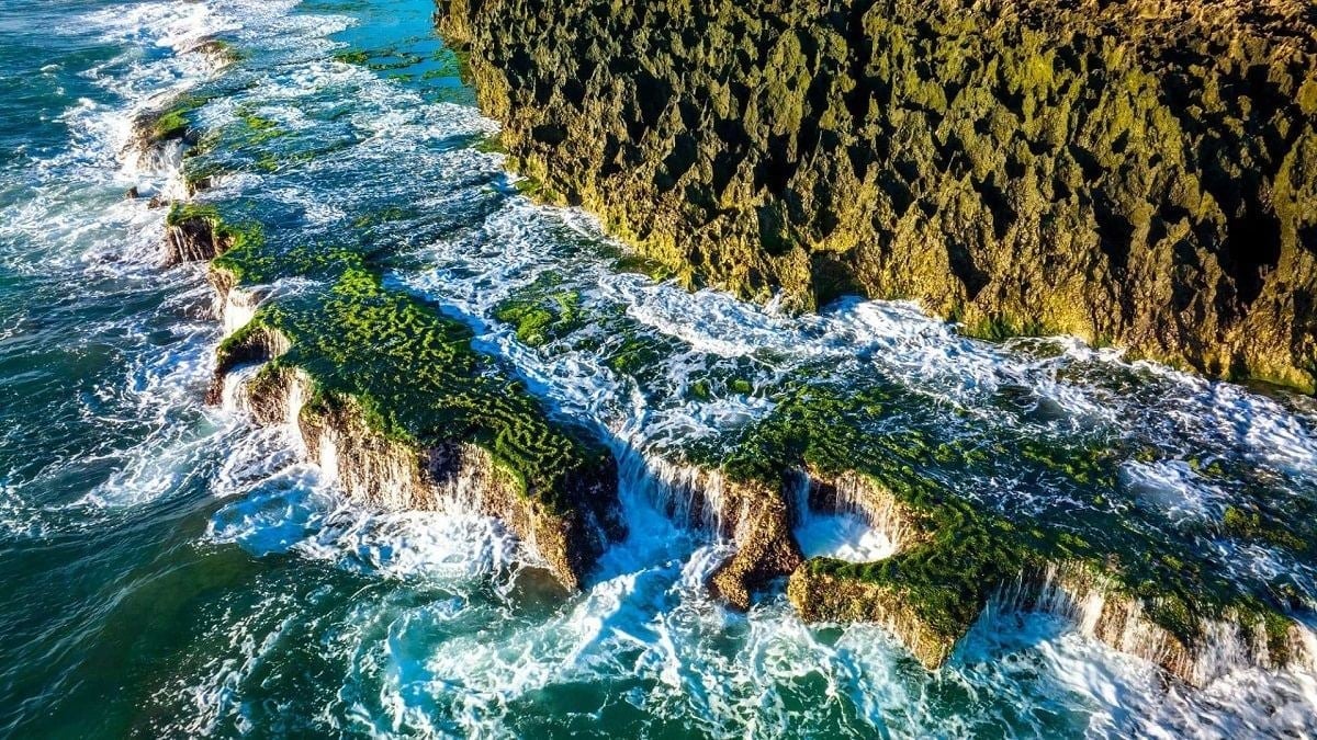 Mosssäsong i Hon Do Ninh Thuan