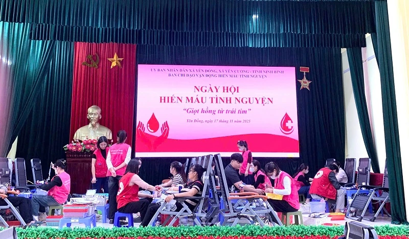 בית החולים הכללי המחוזי טאנה הואה מרחיב את ארגון תרומות הדם למחוז נין בין