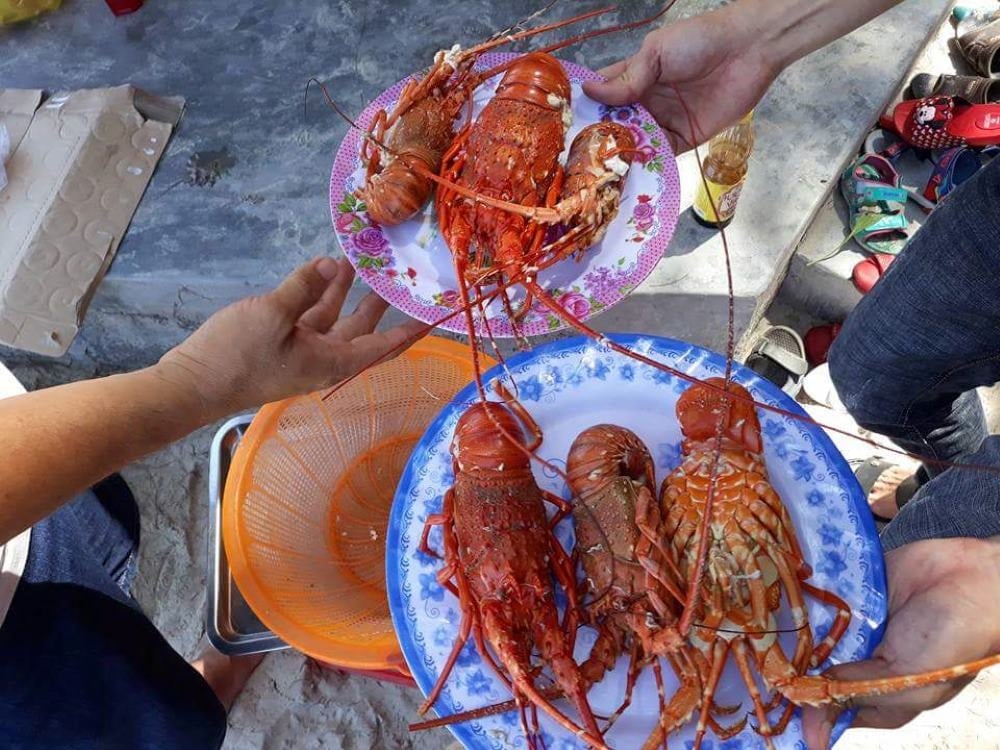 Hải sản biển Vịnh Hòa