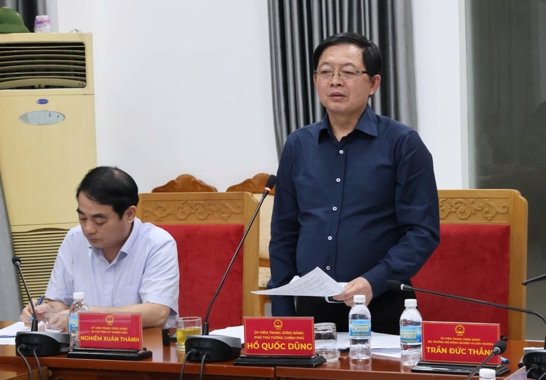 Phó Thủ tướng Hồ Quốc Dũng: Không để người dân kêu cứu trong đêm, bằng mọi cách tiếp cận vùng ngập sâu cứu dân- Ảnh 2.