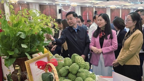 Lạng Sơn: Sản phẩm OCOP cần bứt phá mạnh hơn để khẳng định vị thế