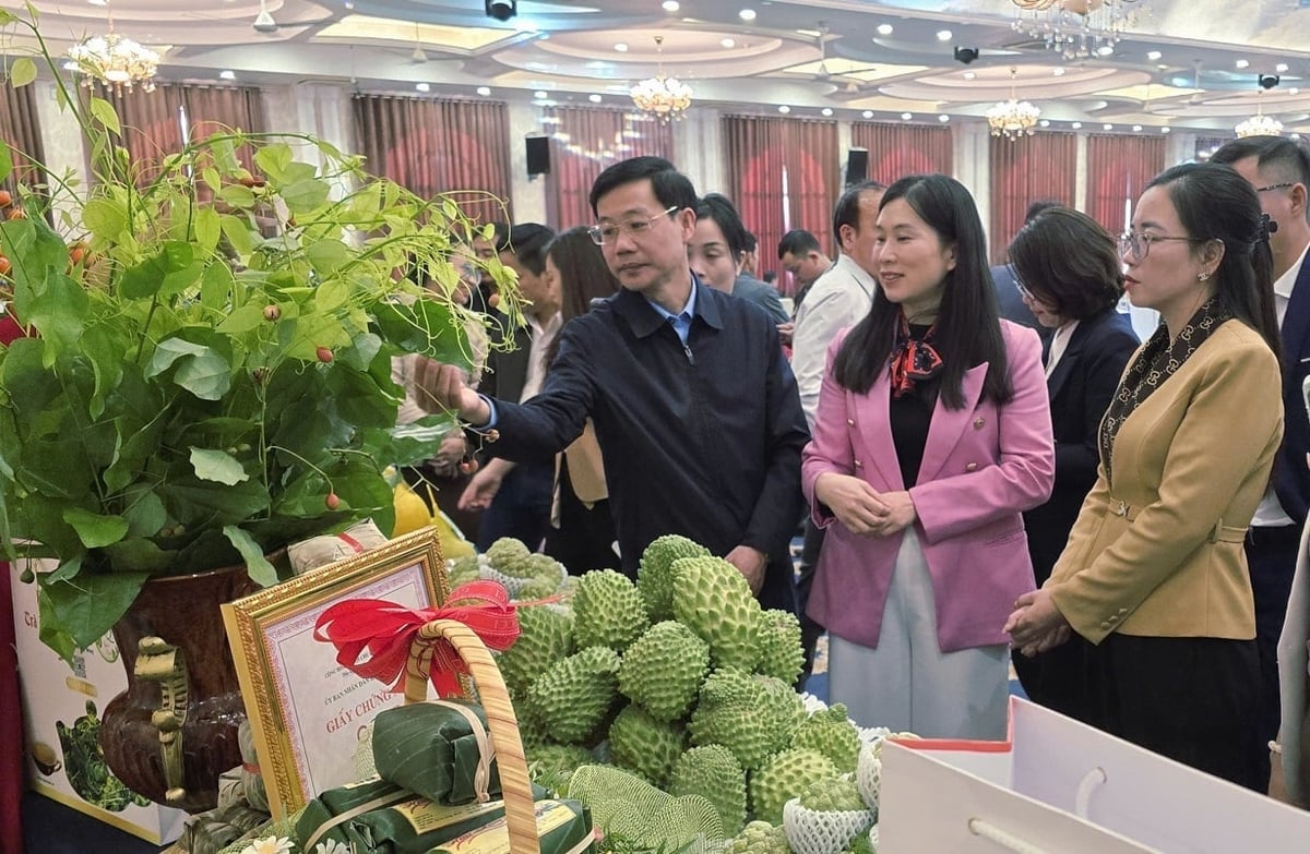 Phó Chủ tịch UBND tỉnh Trần Thanh Nhàn đề nghị OCOP Lạng Sơn cần nâng tầm để theo kịp yêu cầu mới. Ảnh: Hoàng Nghĩa.