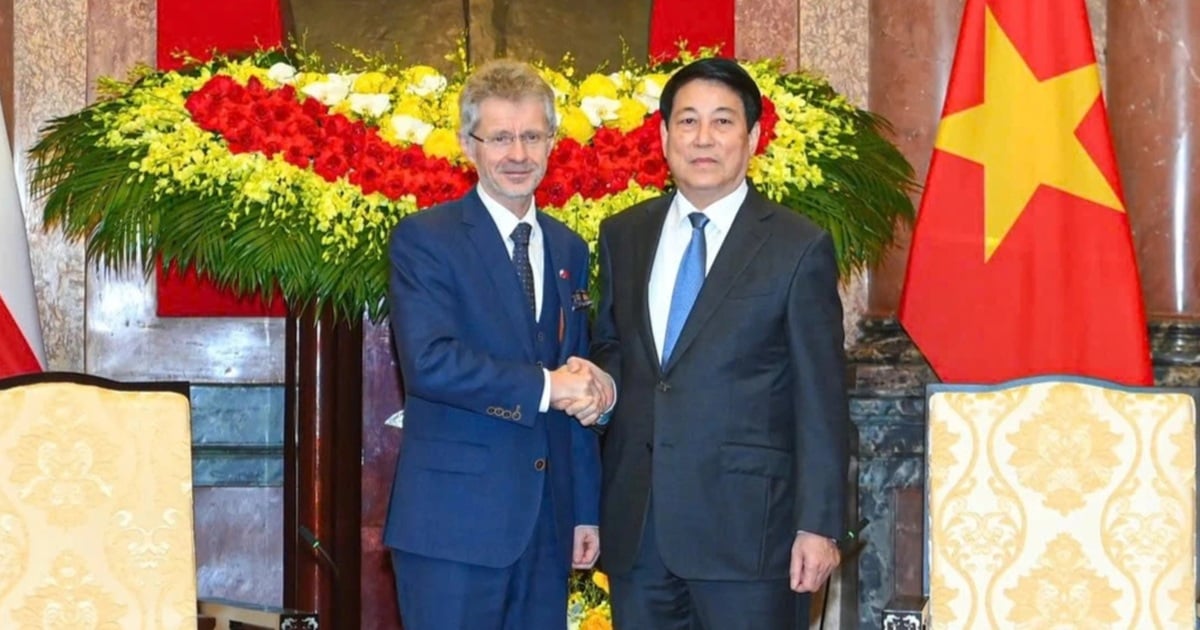 Cộng hòa Séc sẽ hỗ trợ người dân bị thiệt hại do bão lũ ở miền Trung