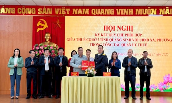 Thuế cơ sở 2 tỉnh đánh giá tình hình thực hiện quản lý thuế sau khi thực hiện chính quyền địa phương 2 cấp và triển khai nhiệm vụ công tác quản lý thuế