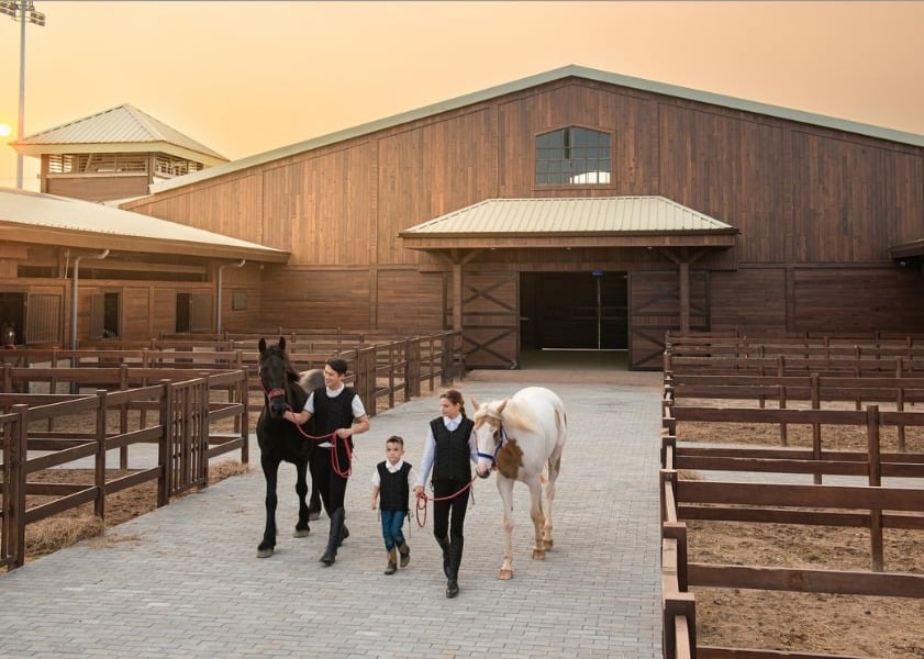 أكاديمية فينبيرل للخيول فو ين