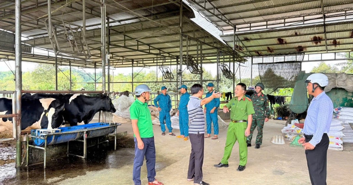 Cát Tiên khẩn cấp hỗ trợ người dân di dời tài sản và vật nuôi trước nguy cơ ngập lụt