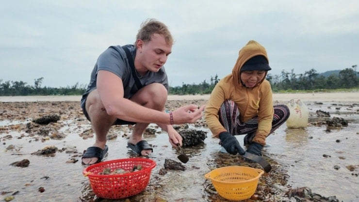 Western tourists go to the fields to harvest rice and plow with farmers on Co To Island - 8