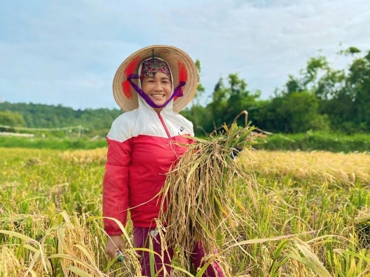 Seorang turis mencoba membajak sawah secara tradisional menggunakan kerbau.
