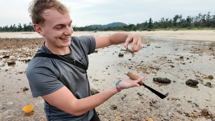 Pemandangan panorama sawah keemasan di Co To, tempat berlangsungnya berbagai aktivitas pengalaman.