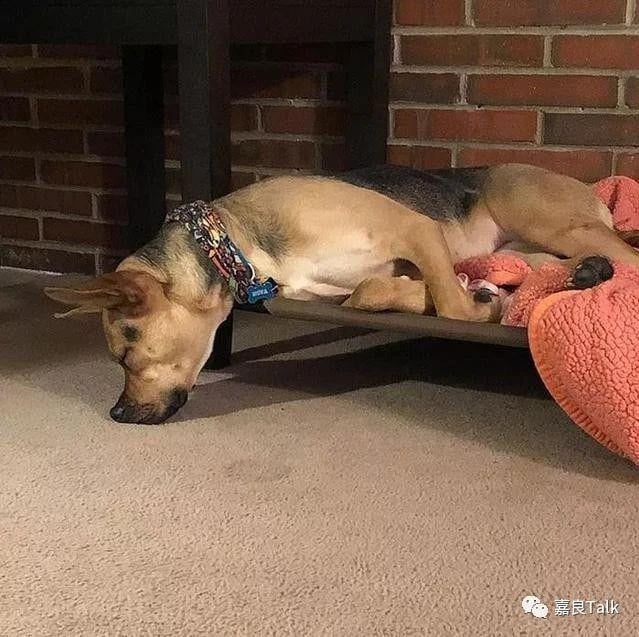 Nhiều du khách bất ngờ về văn hóa ngủ trưa ở Sơn Tây.