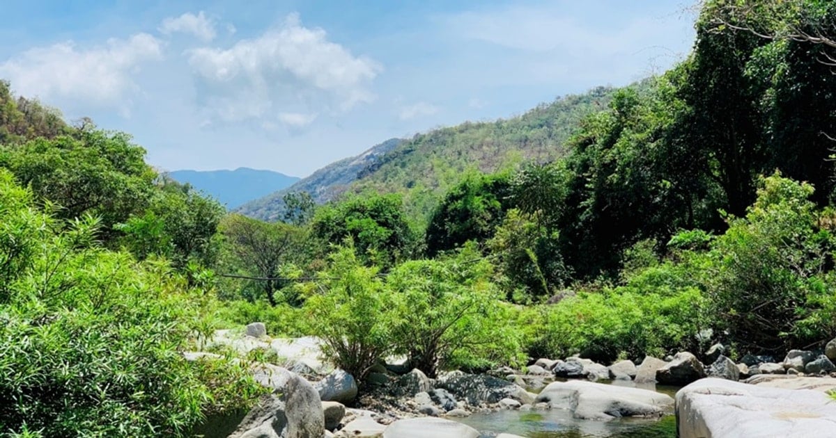 Suối Lồ Ồ Ninh Thuận: Kinh nghiệm khám phá dòng suối hoang sơ