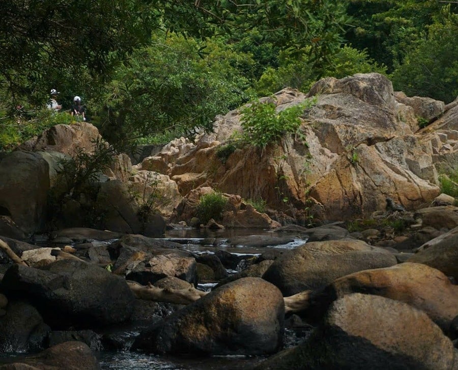 Зеленый природный ландшафт у ручья Ло О нуждается в защите.