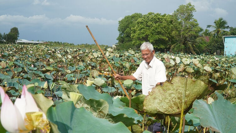 Người có uy tín góp sức giữ bình yên vùng biên