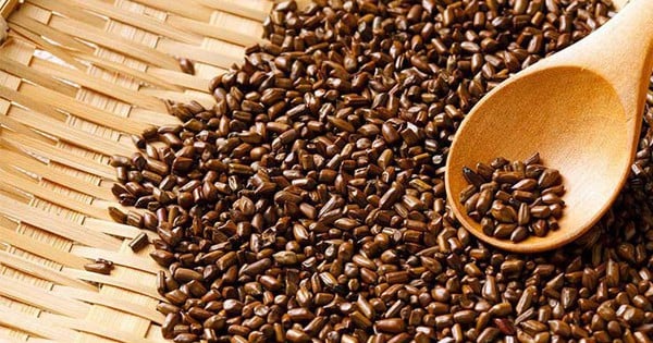 Hạt muồng chữa bệnh gì?