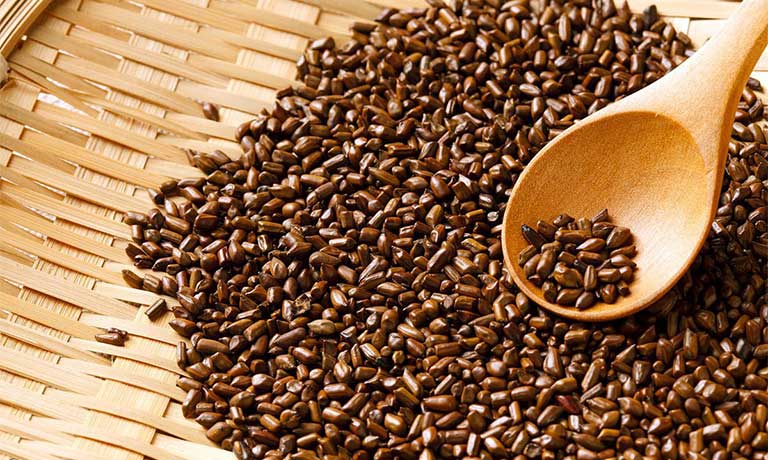 Hạt muồng chữa bệnh gì?- Ảnh 1.