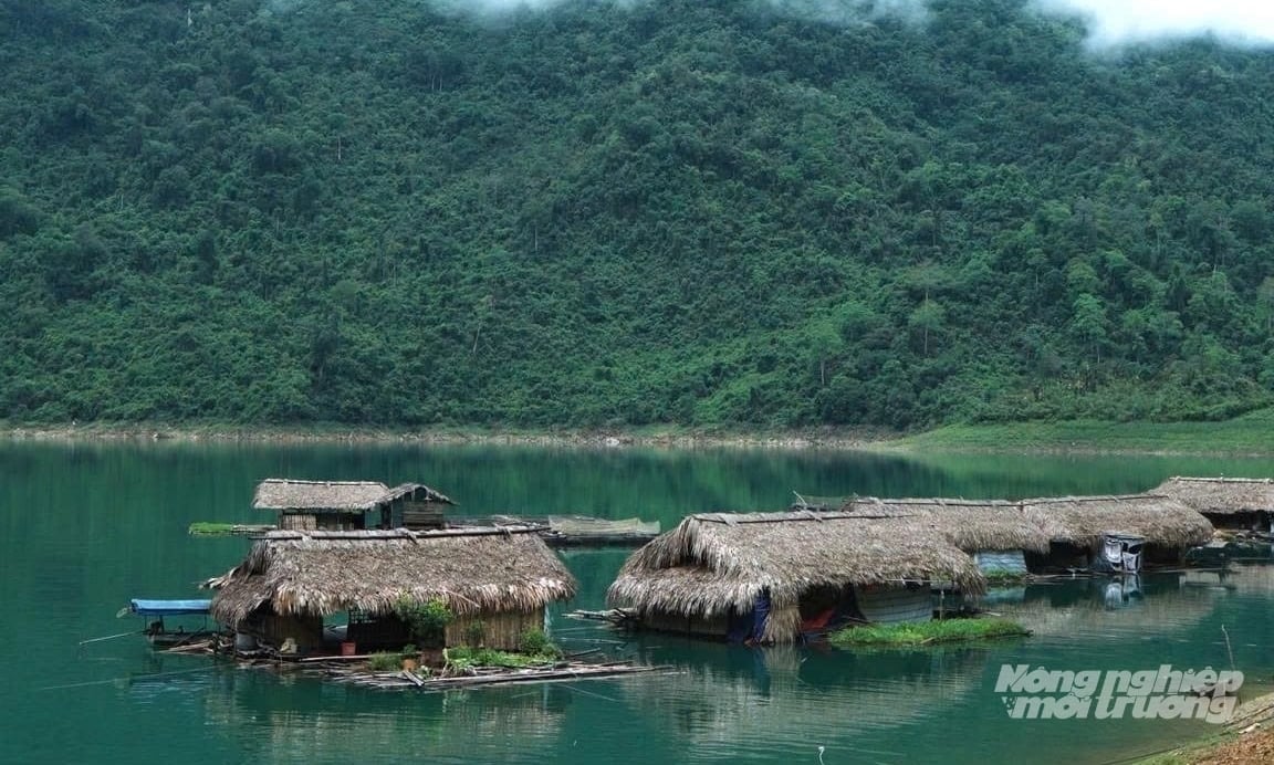 Nhiều nhà bè nuôi cá lồng trên hồ thủy điện Tuyên Quang tại khu vực Tát Nga, xã Lâm Bình. Ảnh: Tú Thành.