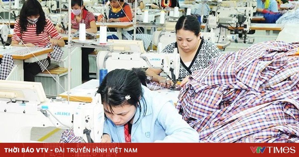 Đơn hàng Mỹ của doanh nghiệp Việt kín đến cuối năm