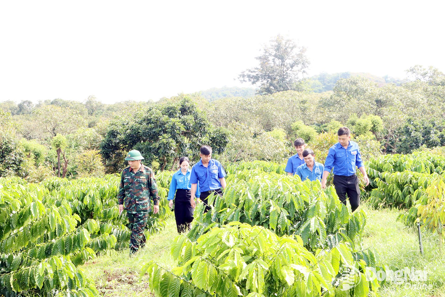 Thành công lớn từ những mô hình sáng tạo