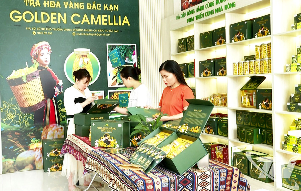 Ha Diep Company Limited berpartisipasi dalam program Onliday 2025 dengan diskon hingga 50% untuk produk OCOP bintang 4, termasuk teh bunga emas, kantong teh bunga emas, dan teh kuncup teratai.